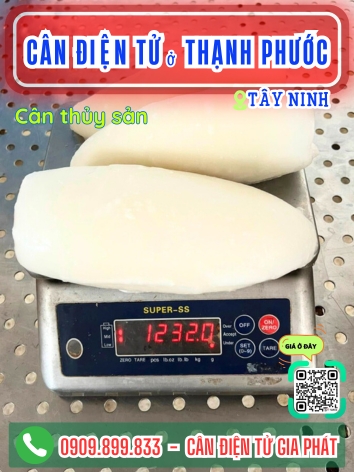 C&acirc;n điện tử ở Thạnh Phước T&acirc;y Ninh - C&acirc;n Gia Ph&aacute;t