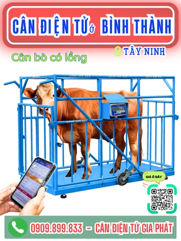 C&acirc;n điện tử ở B&igrave;nh Th&agrave;nh T&acirc;y Ninh - C&acirc;n Gia Ph&aacute;t