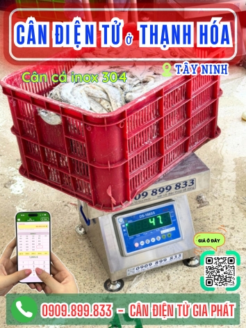 C&acirc;n điện tử ở Thạnh H&oacute;a T&acirc;y Ninh - C&acirc;n Gia Ph&aacute;t