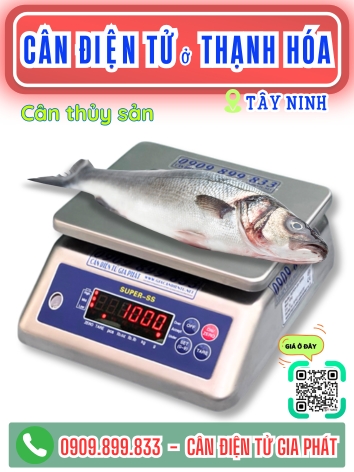 C&acirc;n điện tử ở Thạnh H&oacute;a T&acirc;y Ninh - C&acirc;n Gia Ph&aacute;t