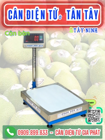 C&acirc;n điện tử ở T&acirc;n T&acirc;y T&acirc;y Ninh - C&acirc;n Gia Ph&aacute;t