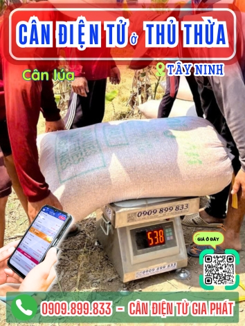 C&acirc;n điện tử ở Thủ Thừa T&acirc;y Ninh - C&acirc;n Gia Ph&aacute;t