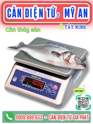 C&acirc;n điện tử ở x&atilde; Mỹ An T&acirc;y Ninh - C&acirc;n Gia Ph&aacute;t