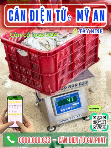 Cân điện tử ở xã Mỹ An Tây Ninh - Cân Gia Phát