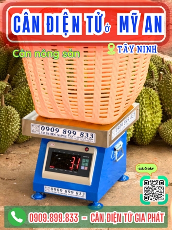 Cân điện tử ở xã Mỹ An Tây Ninh