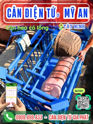Cân điện tử ở xã Mỹ An Tây Ninh - Cân Gia Phát