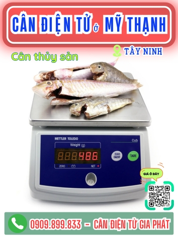 C&acirc;n điện tử ở Mỹ Thạnh T&acirc;y Ninh - C&acirc;n Gia Ph&aacute;t