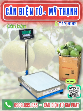 C&acirc;n điện tử ở Mỹ Thạnh T&acirc;y Ninh - C&acirc;n Gia Ph&aacute;t