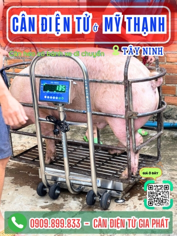C&acirc;n điện tử ở Mỹ Thạnh T&acirc;y Ninh - C&acirc;n Gia Ph&aacute;t