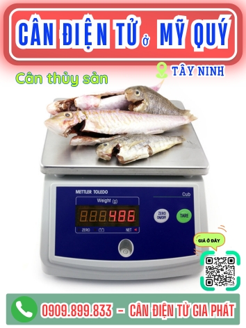 C&acirc;n điện tử ở Mỹ Qu&yacute; T&acirc;y Ninh - C&acirc;n Gia Ph&aacute;t
