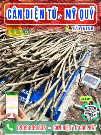 C&acirc;n điện tử ở Mỹ Qu&yacute; T&acirc;y Ninh - C&acirc;n Gia Ph&aacute;t