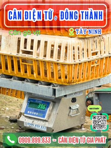 C&acirc;n điện tử ở Đ&ocirc;ng Th&agrave;nh T&acirc;y Ninh - C&acirc;n Gia Ph&aacute;t