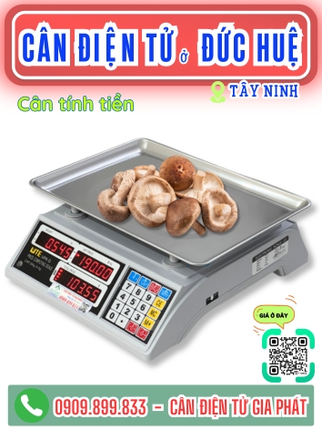 C&acirc;n điện tử ở Đức Huệ T&acirc;y Ninh - C&acirc;n Gia Ph&aacute;t