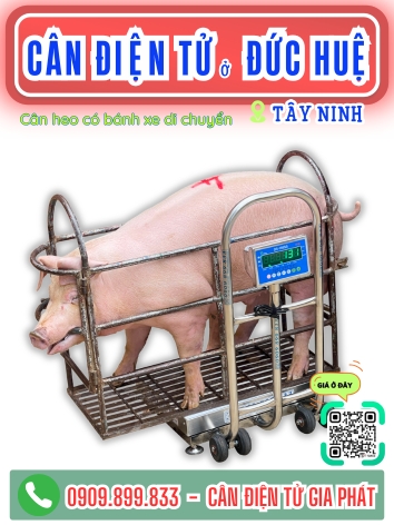 C&acirc;n điện tử ở Đức Huệ T&acirc;y Ninh - C&acirc;n Gia Ph&aacute;t