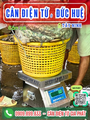 Cân điện tử ở xã Đức Huệ Tây Ninh