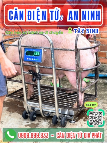 C&acirc;n điện tử ở An Ninh T&acirc;y Ninh - C&acirc;n Gia Ph&aacute;t