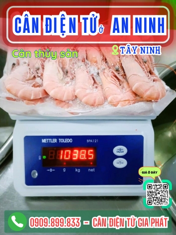 C&acirc;n điện tử ở An Ninh T&acirc;y Ninh - C&acirc;n Gia Ph&aacute;t