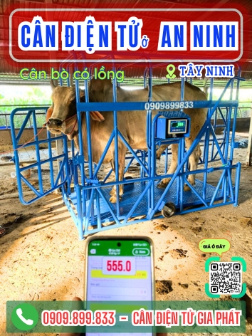C&acirc;n điện tử ở An Ninh T&acirc;y Ninh - C&acirc;n Gia Ph&aacute;t