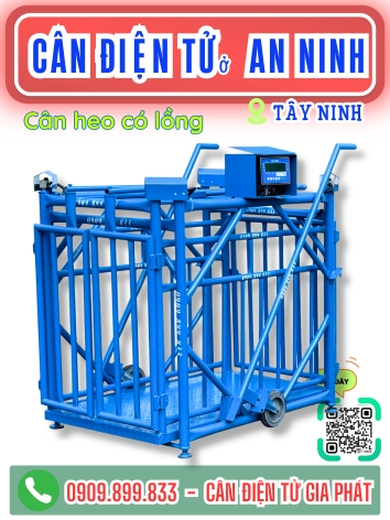 Cân điện tử ở xã An Ninh Tây Ninh