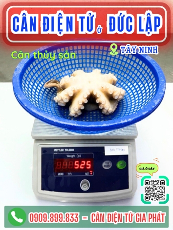 C&acirc;n điện tử ở Đức Lập T&acirc;y Ninh - C&acirc;n Gia Ph&aacute;t