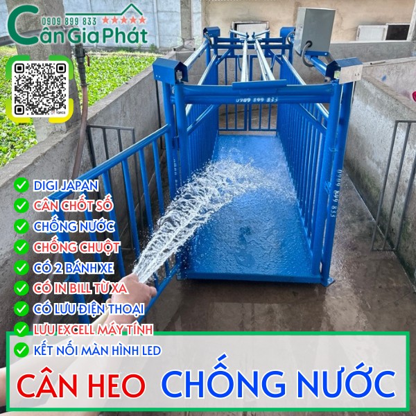 C&acirc;n điện tử c&acirc;n heo cảm biến tr&ecirc;n c&acirc;n 2 con 4 con 5 con 10 con