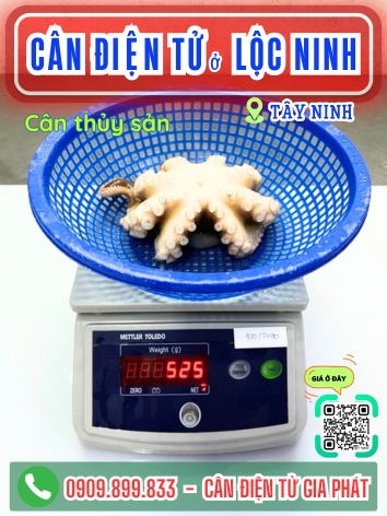 C&acirc;n điện tử ở Lộc Ninh T&acirc;y Ninh - C&acirc;n Gia Ph&aacute;t