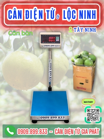 C&acirc;n điện tử ở Lộc Ninh T&acirc;y Ninh - C&acirc;n Gia Ph&aacute;t