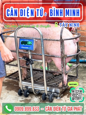 C&acirc;n điện tử ở B&igrave;nh Minh T&acirc;y Ninh - C&acirc;n Gia Ph&aacute;t