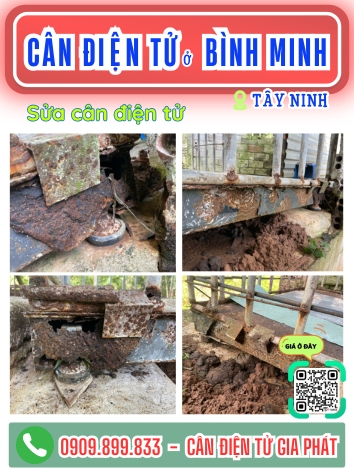 C&acirc;n điện tử ở B&igrave;nh Minh T&acirc;y Ninh - C&acirc;n Gia Ph&aacute;t