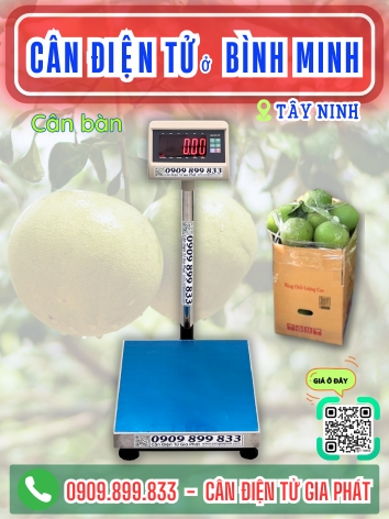 C&acirc;n điện tử ở B&igrave;nh Minh T&acirc;y Ninh - C&acirc;n Gia Ph&aacute;t