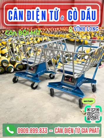 Cân điện tử ở phường Gò Dầu Tây Ninh