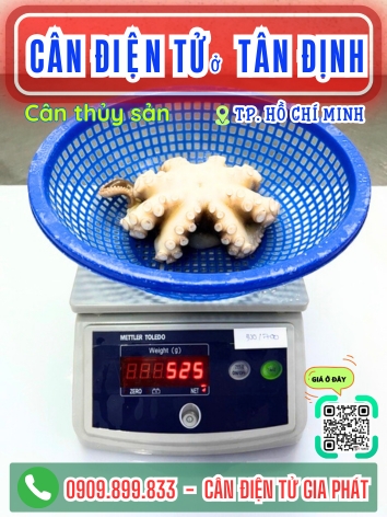 C&acirc;n điện tử ở T&acirc;n Đinh TP. Hồ Ch&iacute; Minh - C&acirc;n Gia Ph&aacute;t