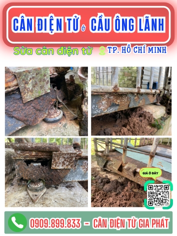 C&acirc;n điện tử ở Cầu &Ocirc;ng L&atilde;nh TP. Hồ Ch&iacute; Minh - C&acirc;n Gia Ph&aacute;t