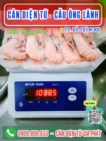 C&acirc;n điện tử ở Cầu &Ocirc;ng L&atilde;nh TP. Hồ Ch&iacute; Minh - C&acirc;n Gia Ph&aacute;t