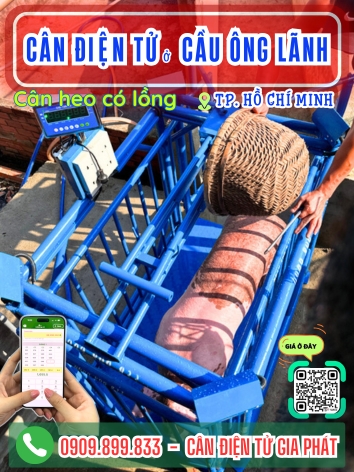 C&acirc;n điện tử ở Cầu &Ocirc;ng L&atilde;nh TP. Hồ Ch&iacute; Minh - C&acirc;n Gia Ph&aacute;t