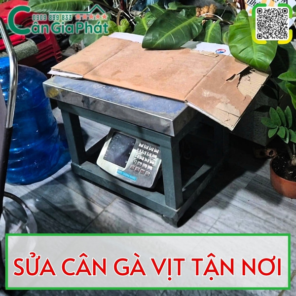 Sửa c&acirc;n điện tử c&acirc;n g&agrave; vịt tận nơi 100kg 200kg 300kg