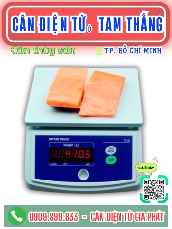 Cân điện tử ở phường Tam Thắng Thành Phố Hồ Chí Minh