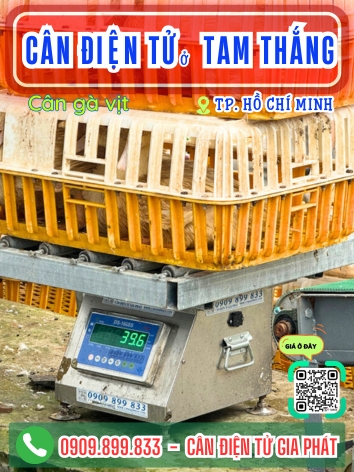 C&acirc;n điện tử ở Tam Thắng Vũng T&agrave;u TP. Hồ Ch&iacute; Minh - C&acirc;n Gia Ph&aacute;t