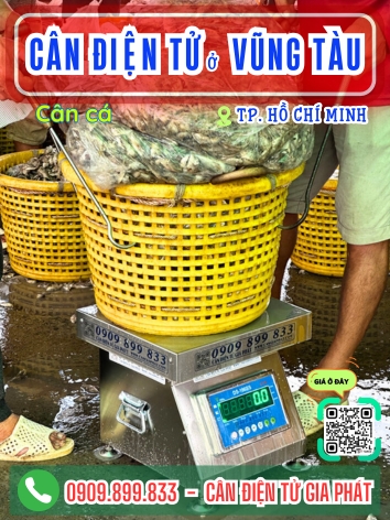  Cân điện tử ở phường Vũng Tàu Thành Phố Hồ Chí Minh