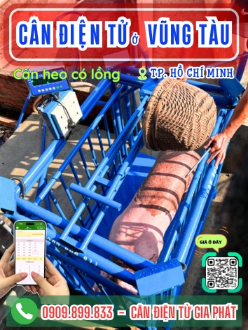 C&acirc;n điện tử ở phường Vũng T&agrave;u TP. Hồ Ch&iacute; Minh - C&acirc;n Gia Ph&aacute;t