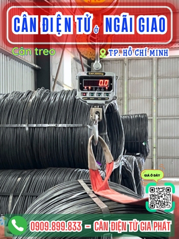 C&acirc;n điện tử ở Ng&atilde;i Giao TP. Hồ Ch&iacute; Minh - C&acirc;n Gia Ph&aacute;t