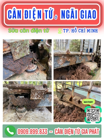 C&acirc;n điện tử ở Ng&atilde;i Giao TP. Hồ Ch&iacute; Minh - C&acirc;n Gia Ph&aacute;t