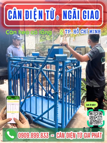 Cân điện tử ở xã Ngãi Giao Thành Phố Hồ Chí Minh