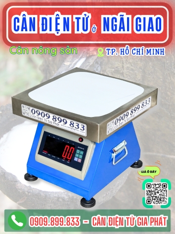 C&acirc;n điện tử ở Ng&atilde;i Giao TP. Hồ Ch&iacute; Minh - C&acirc;n Gia Ph&aacute;t