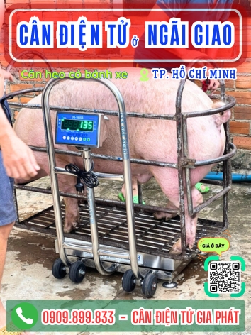 C&acirc;n điện tử ở Ng&atilde;i Giao TP. Hồ Ch&iacute; Minh - C&acirc;n Gia Ph&aacute;t