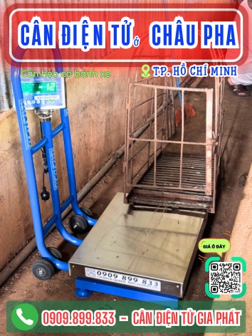 Cân điện tử ở xã Châu Pha Thành Phố Hồ Chí Minh