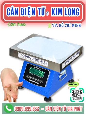 Cân điện tử ở xã Kim Long Thành Phố Hồ Chí Minh