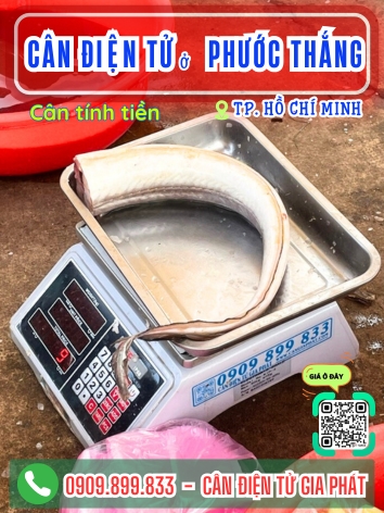 Cân điện tử ở phường Phước Thắng Thành Phố Hồ Chí Minh