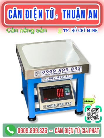 C&acirc;n điện tử ở Thuận An TP. Hồ Ch&iacute; Minh - C&acirc;n Gia Ph&aacute;t
