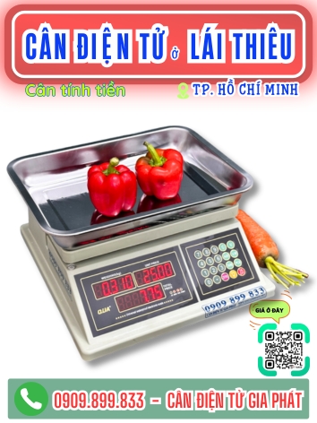 C&acirc;n điện tử ở L&aacute;i Thi&ecirc;u TP. Hồ Ch&iacute; Minh - C&acirc;n Gia Ph&aacute;t